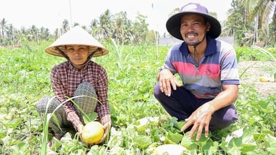 Aprovechar el programa para generar impulso en la reducción sostenible de la pobreza