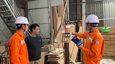 電気を積極的に経済的かつ効率的に使用する