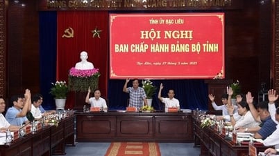 Ca Mau and Bac Lieu agree on double-digit growth scenario after merger