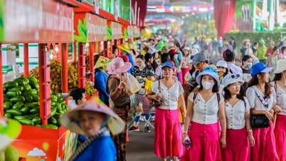 Festival de la Fruta del Sur 2025: Preservando el alma nacional, alcanzando nivel internacional