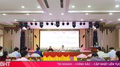 Hỗ trợ đào tạo nghề, khởi nghiệp cho hàng trăm lao động, giảm thiểu di cư