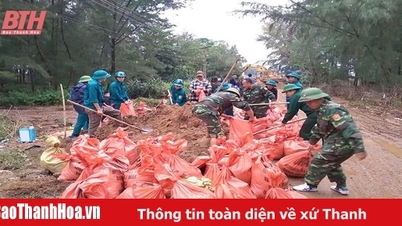 Chủ động phương án phòng, chống thiên tai