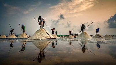 Kinh tế tập thể phát huy thế mạnh sẵn sàng sáp nhập