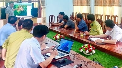 Обновление лесных разработок для повышения эффективности управления лесами и защиты лесов
