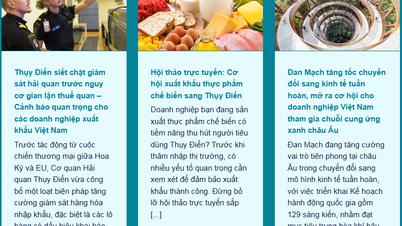 Bản tin thị trường Bắc Âu tháng 5/2025