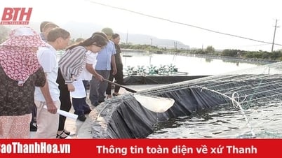 Những “kỹ sư” chân đất