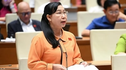 Đại biểu tranh luận: Chung thân không giảm án ‘chưa chắc đã nhân văn hơn tử hình’