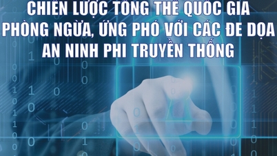 Infographics: Chiến lược tổng thể quốc gia phòng ngừa, ứng phó với các đe dọa an ninh phi truyền thống
