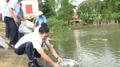 Huyện Krông Búk thả 38.000 con cá giống tái tạo nguồn lợi thủy sản