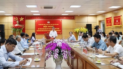 El Comité del Frente de la Patria de la provincia de Bac Giang solicita opiniones sobre el proyecto de Resolución que enmienda y complementa la Constitución de 2013.