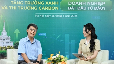 "Tham gia thị trường carbon không chỉ là trách nhiệm mà còn mang lại cơ hội lớn"
