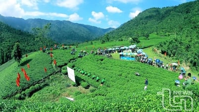 Thái Nguyên: Mùa du lịch "thức giấc"