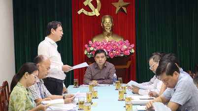 Avant le 30 juin, résoudre complètement les problèmes d'indemnisation et de soutien foncier du parc industriel de Thanh Phu