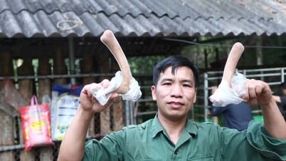 村長は村人たちを集めてシカを飼育し、互いに助け合って金持ちになった。