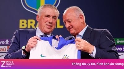 Ancelotti genera polémica nada más asumir el cargo de seleccionador brasileño