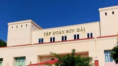 Tổ trưởng chuyên gia chấm gói thầu liên quan Tập đoàn Sơn Hải hết hạn chứng chỉ hành nghề?