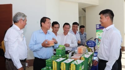 Nông dân Châu Đức khởi nghiệp làm giàu