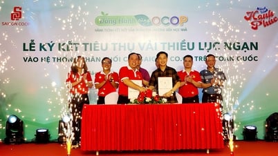 Saigon Co.op plant, Bac Giang-Litschi an über 800 Verkaufsstellen im ganzen Land anzubieten.