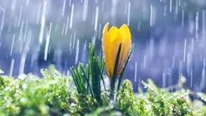 สภาพอากาศจังหวัดเหงะอาน วันที่ 27 พ.ค. มีฝนฟ้าคะนองกระจาย