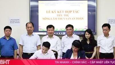 Ha Tinh und Lam Dong verbinden sich, um saubere landwirtschaftliche Produkte zu fördern und zu konsumieren
