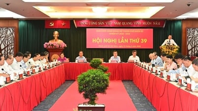 Ho Chi Minh-Ville se prépare aux congrès du Parti à tous les niveaux : s'en tenir au plan, assurer la feuille de route