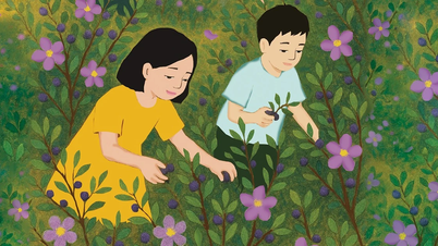 보라색 심꽃 지역