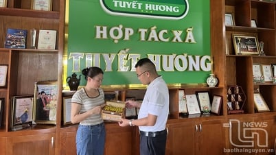 ส่งเสริมผู้ประกอบการและนวัตกรรมสตรี