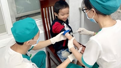 Lập nghiệp ở quê hương