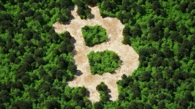Bitcoin tiêu tốn điện như một quốc gia, thải khí độc như nhà máy?