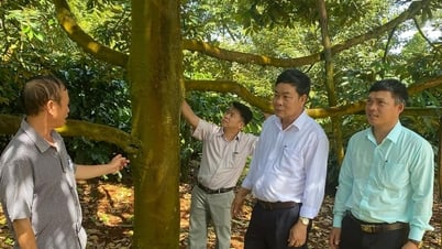 District de Krong Pac : trois avancées majeures en matière de développement