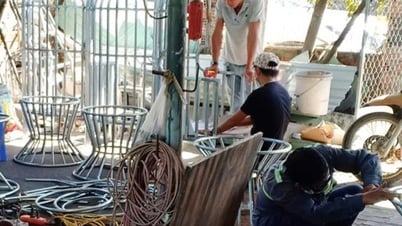Da Nang: Establecimiento del clúster industrial de Hoa Nhon