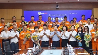 EVNNPC vinh danh người lao động tiêu biểu ngành điện năm 2025