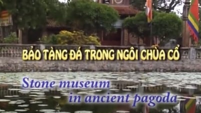 Musée de la pierre dans un temple antique