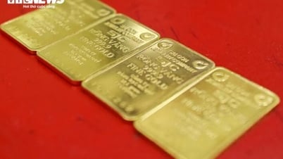 El Primer Ministro pidió reducir la brecha con el mundo, ¿qué pasará con el precio del oro interno?
