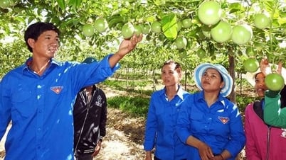 4 giải pháp "tiếp sức" phụ nữ dân tộc thiểu số khởi nghiệp