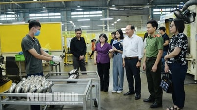 التحقق من السلامة والصحة المهنية في شركة SJG SEJUNG Vietnam Co., Ltd.