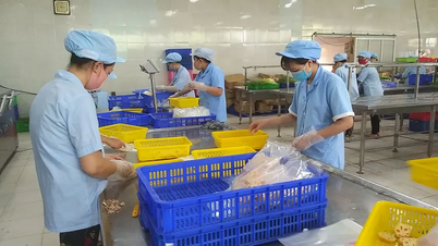 Maximize resource mobilization, promote development of small and medium enterprises