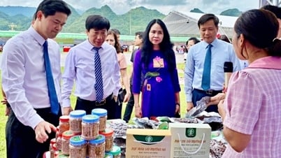 북부 미들랜드 및 산악 지역: 어려움을 극복하고 전자상거래를 촉진하기로 결심