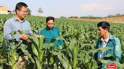 จุดสว่างในการผลิตเกษตรอินทรีย์