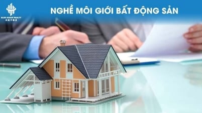 ¿Cuánto ganan los agentes inmobiliarios?