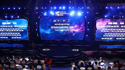 VNGGames и VTC совместно выиграли награду «Лучший издатель игр 2025 года»