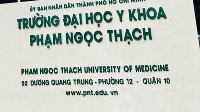 Bí thư Đảng ủy Trường ĐH Y khoa Phạm Ngọc Thạch làm Chủ tịch Hội đồng tuyển sinh