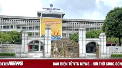 إيقاف مسؤول في جامعة فينه مؤقتًا