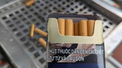 Hút thuốc lá khiến ung thư phổi kháng thuốc
