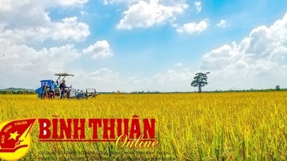 Phát triển khoa học công nghệ đồng hành với chuyển dịch cơ cấu kinh tế