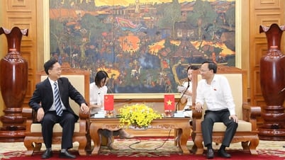 El vicepresidente del Comité Popular Provincial, Pham Van Thinh, se reunió con la delegación china que asiste a la conferencia para promover el consumo de lichi.