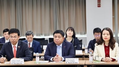 Doanh nghiệp Nhật Bản nên sớm đầu tư vào lĩnh vực bán dẫn tại Việt Nam