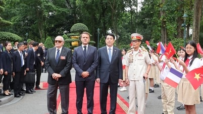 Hai cựu binh Việt - Pháp đặc biệt trong lễ đón Tổng thống Macron ở Phủ Chủ tịch