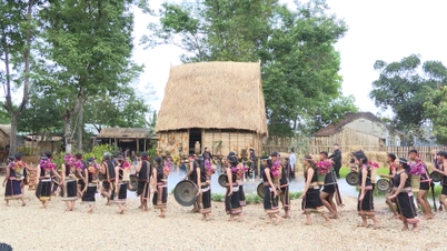 Cultural - Tourism Week associated with Dak Ha District Clean Agricultural Fair in 2025