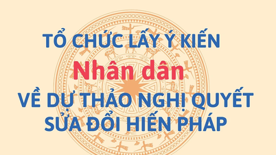 Kế hoạch lấy ý kiến về dự thảo Nghị quyết sửa đổi, bổ sung một số điều của Hiến pháp